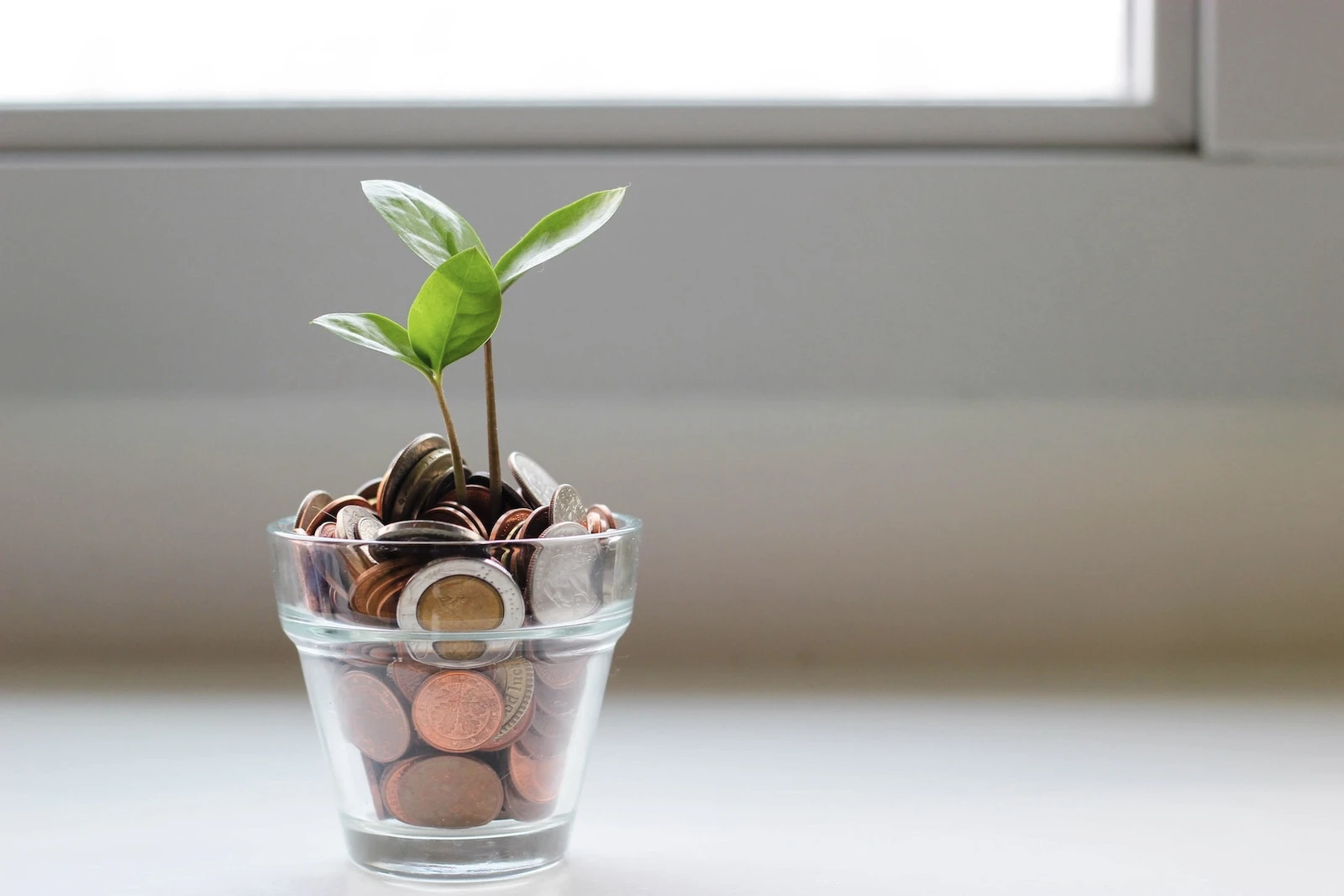 une plante qui pousse dans un verre contenant des pièces de monnaie